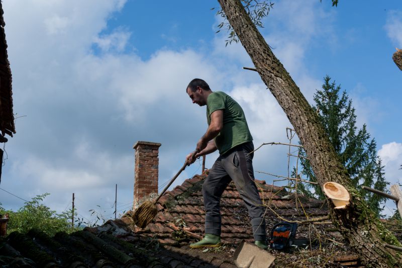 Roof Leaf Cleanup