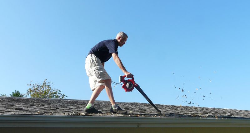 Roof Leaf Cleanup