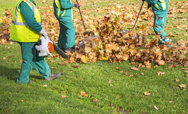 Roof Leaf Cleanup
