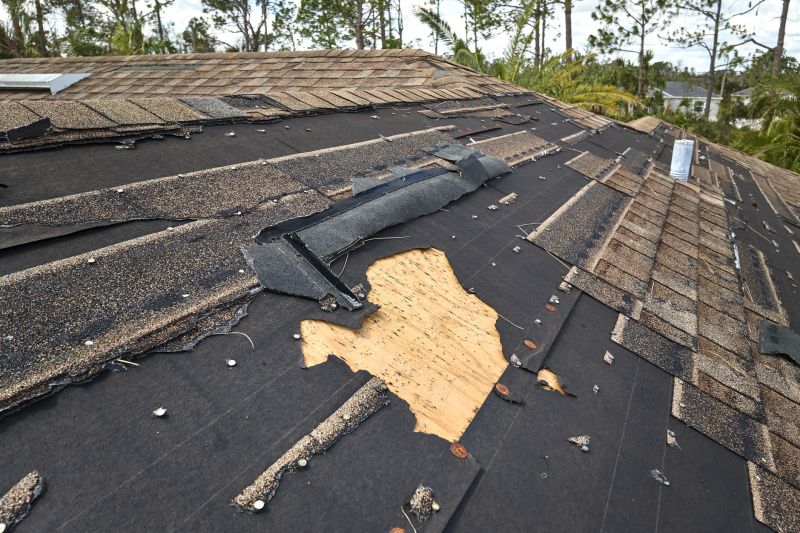 Roof Surface Condition