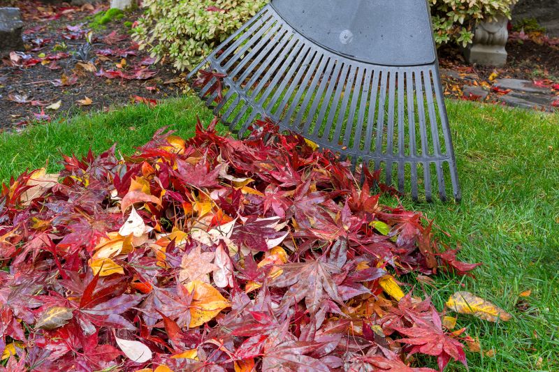 Leaf Raking