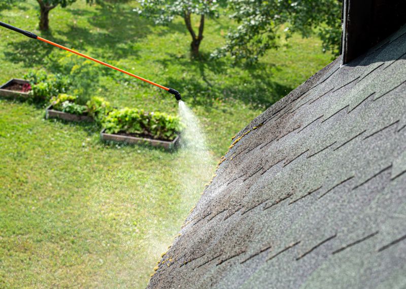 How Roof Cleaning Helps Prevent Mold, Algae, And Moss Growth