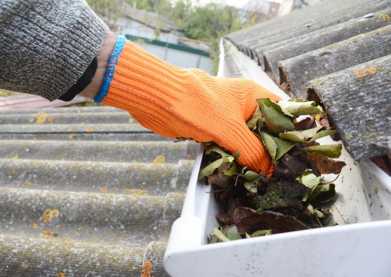 Roof Leaf Cleanup