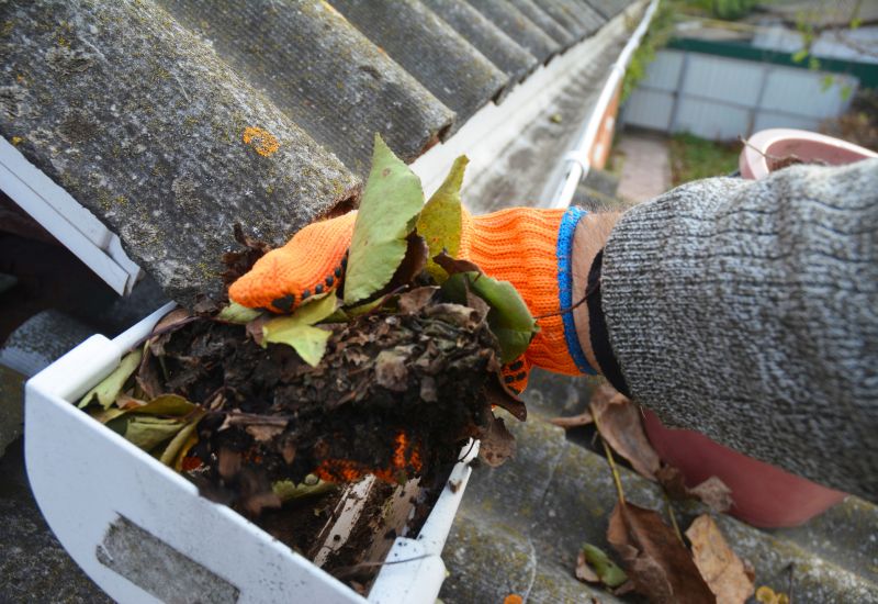 Roof Leaf Cleanup