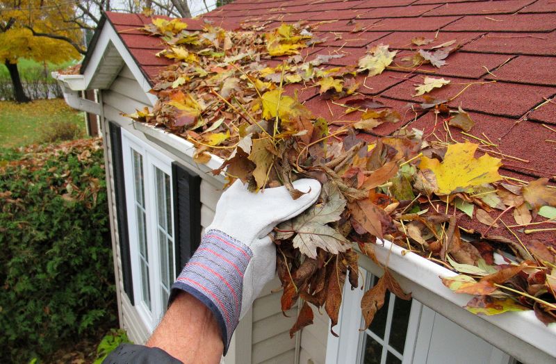 Roof Leaf Cleanup