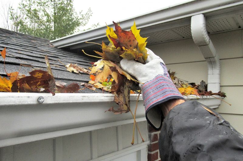 Roof Leaf Cleanup