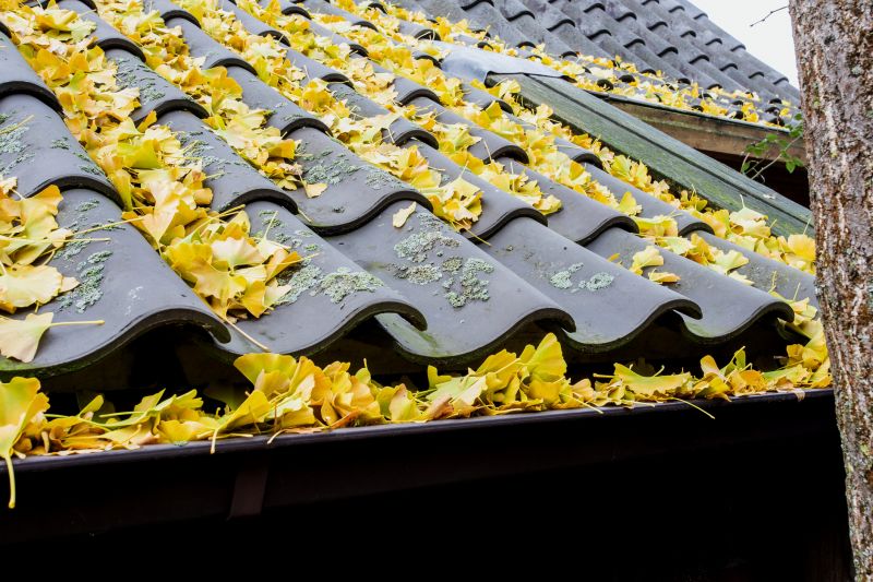 Roof Leaf Cleanup