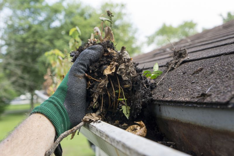 Roof Inspection After Leaf Removal
